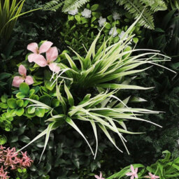 True Products Combo Set Of 3 Premium Artificial Green Plant Living Wall Panels 1M X 50Cm - Florence A,b,c - thumbnail 3