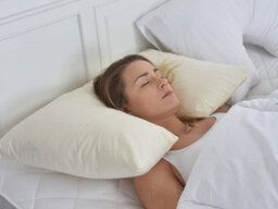 Lancashire Textiles Inset Spine Align Orthopaedic Pillow For Neck And Shoulder Pain Hollowfibre Filling With Free White Pillowcase - thumbnail 3