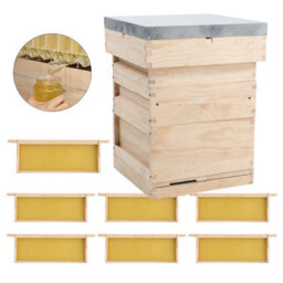 Living And Home 10 Frame Wooden Beehive Starter Kit With Brood Box And 2 Honey Supers - thumbnail 6