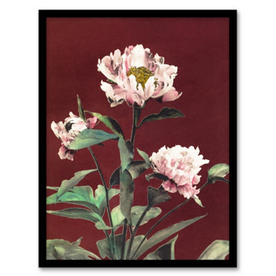 Artery8 Ogawa Kazumasa Framed Wall Art Print Pink Herbaceous Peony Flower - A3 Size