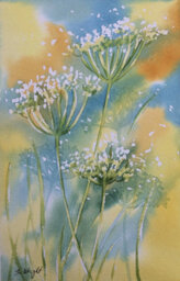 Cow Parsley 17 X 26 X 0 Cm (6.7 X 10.2 X 0 Inches) - thumbnail 3