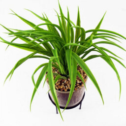 Leaf 35Cm Artificial Grass With Ceramic Planter & Metal Stand - thumbnail 2