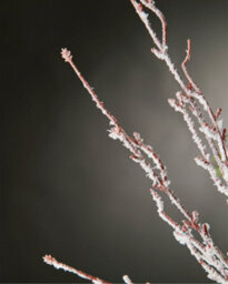 Werchristmas Brown And White Snow Flocked Twig Spray 80 Cm - thumbnail 3