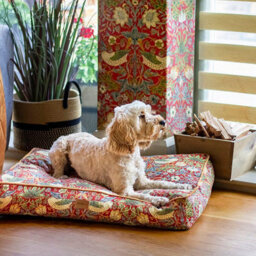 Morris & Co. Dog Mattress, Red Strawberry Thief Print, Thickly Padded, 75Cm X 55Cm, Medium - thumbnail 5