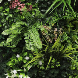 True Products Premium Artificial Green Plant Living Wall Panel 1M X 50Cm - Florence C - thumbnail 3