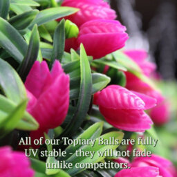 Best Artificial 38Cm Pink Lush Tulip Hanging Basket Flower Topiary Ball - Suitable For Outdoor Use - Weather & Fade Resistant - thumbnail 4