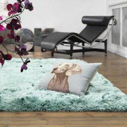 Plush Ocean Luxury Shaggy Polyester Rug By Asiatic-200Cm X 300Cm - thumbnail 1