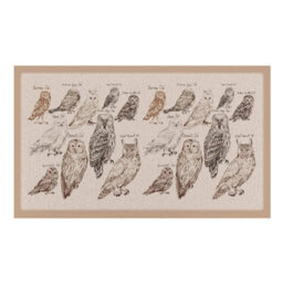 Native Natural Vintage Owls Indoor & Outdoor Doormat - 70X40Cm - thumbnail 2