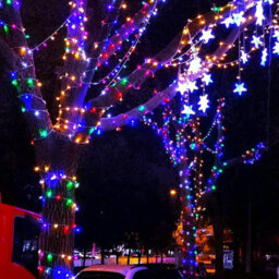 500 Led Multicoloured Christmas String Lights Indoor Bedroom, String Lights Outdoor Clear Wire, 8 Modes Twinkle String Lights - thumbnail 2