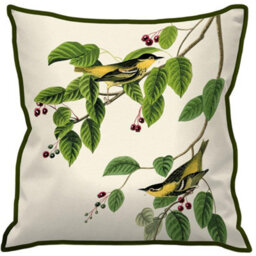 John James Audubon Carbonated Warbler Cushion White/green (One Size)
