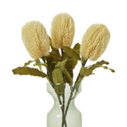 Wyld Haus Set Of 3 Large Cream Banksia Serrata Artificial Flower Stems - thumbnail 3