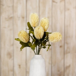 Wyld Haus Set Of 3 Large Cream Banksia Serrata Artificial Flower Stems - thumbnail 4
