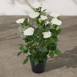 Biznest Artificial Rose Tree Weather And Uv Resistant White And Pink Flowers Indoor Outdoor Decorative Plant 60 Cm Tall (White)