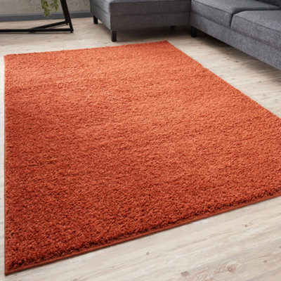 The Rugs Terra Soft Plain Design Fluffy Shaggy Rugs And Runners High Pile Living Room Kitchen Hallway 380 - image 1