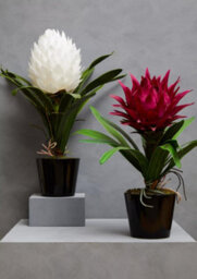 Orsina Pink Tropical Plant With Black Ceramic Pot Artificial Plant Foliage - thumbnail 2