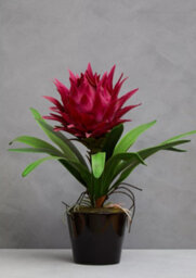Orsina Pink Tropical Plant With Black Ceramic Pot Artificial Plant Foliage - thumbnail 3