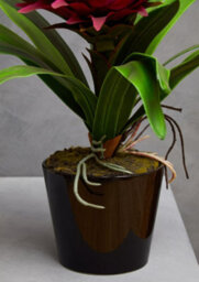 Orsina Pink Tropical Plant With Black Ceramic Pot Artificial Plant Foliage - thumbnail 5