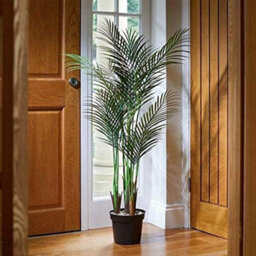 Smart Garden Marco Paul Artificial Indoor House Plant - Phoenix Palm Tree - thumbnail 8