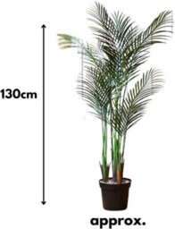 Smart Garden Marco Paul Artificial Indoor House Plant - Phoenix Palm Tree - thumbnail 2