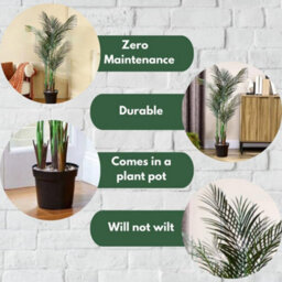 Smart Garden Marco Paul Artificial Indoor House Plant - Phoenix Palm Tree - thumbnail 3