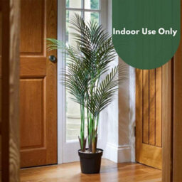 Smart Garden Marco Paul Artificial Indoor House Plant - Phoenix Palm Tree - thumbnail 4