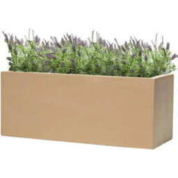 Primrose Fibrecotta Sand Rectangular Trough Planter 80Cm - thumbnail 5