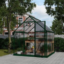 Palram - Canopia Mythos 6X6 Ft Green Polycarbonate (Pc) Apex Greenhouse With Polycarbonate (Pc) Glazing With Adjustable Vent - thumbnail 5
