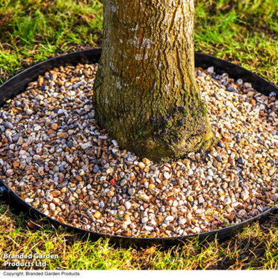 Garden Gear Circular Heavy Duty Metal Border Edging For Bushes, Shrubs & Trees 90Cm Diameter (Black) - image 1