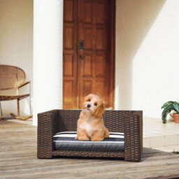 Teamson Pets Clotho Indoor Outdoor Rattan Cat Or Small Dog Elevated Bed Lounger With Removeable Washable Cushion - thumbnail 1