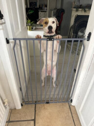 Bettacare Extra Tall Eco Screw Fit Pet Gate, Grey, 120Cm - 130Cm, Extra Tall Gate 100Cm In Height, Screw Fitted Dog Gate - thumbnail 8