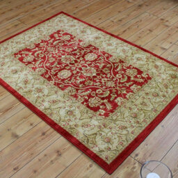 Traditional Floral Graphics Easy To Clean Rug For Dining Room -200Cm X 300Cm - thumbnail 4
