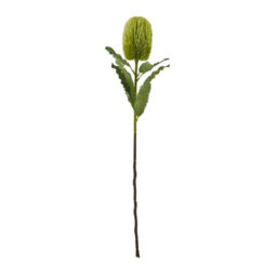 Hill Interiors Banksia Serrata Artificial Flower Green (One Size)