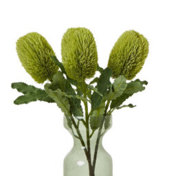 Hill Interiors Banksia Serrata Artificial Flower Green (One Size) - thumbnail 3