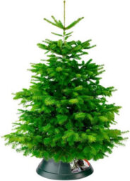 Elho Nordman 52 - Christmas Tree Stand For Indoor - 52 X H 20 Cm - Green - thumbnail 3