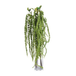 Wyld Haus Set Of 3 Green Amaranthus Artificial Flower Stems 1000mm Trailing Faux Blooms - thumbnail 2