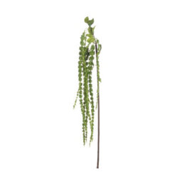 Wyld Haus Set Of 3 Green Amaranthus Artificial Flower Stems 1000mm Trailing Faux Blooms - thumbnail 1