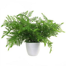 Leaf Faux 30Cm Potted Southern Wood Fern - thumbnail 1