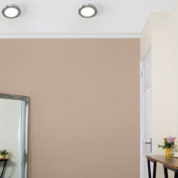 Litecraft Darly Satin Nickel 1 Lamp Modern Bathroom 6W Led Flush Ceiling Light