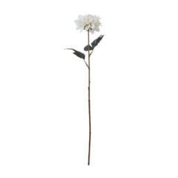 Wyld Haus Set Of 3 Tall White Artificial Dahlia Stems   830mm Faux Flowers - thumbnail 1
