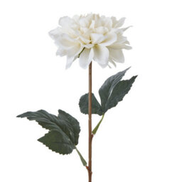 Wyld Haus Set Of 3 Tall White Artificial Dahlia Stems   830mm Faux Flowers - thumbnail 2