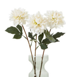 Wyld Haus Set Of 3 Tall White Artificial Dahlia Stems   830mm Faux Flowers - thumbnail 3