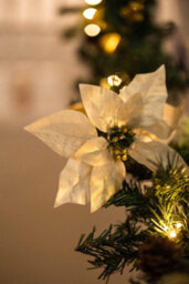 9Ft Pre-Lit Artificial Christmas Garland With Gold Decor - thumbnail 9
