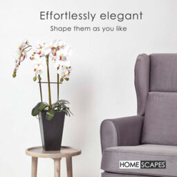 Homescapes Artificial White Handcrafted Oriental Style Orchid In A Black Pot, 70 Cm - thumbnail 6