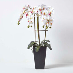 Homescapes Artificial White Handcrafted Oriental Style Orchid In A Black Pot, 70 Cm - thumbnail 1