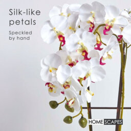 Homescapes Artificial White Handcrafted Oriental Style Orchid In A Black Pot, 70 Cm - thumbnail 3