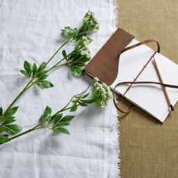 Wyld Haus Set Of 3 Faux White Cow Parsley Ammi Artificial Flower Stems - thumbnail 6