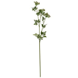 Wyld Haus Set Of 3 Faux White Cow Parsley Ammi Artificial Flower Stems - thumbnail 1