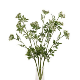 Wyld Haus Set Of 3 Faux White Cow Parsley Ammi Artificial Flower Stems - thumbnail 2