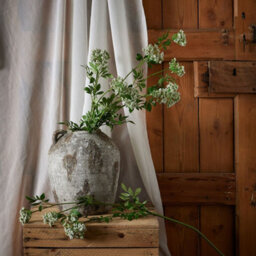 Wyld Haus Set Of 3 Faux White Cow Parsley Ammi Artificial Flower Stems - thumbnail 8