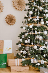 DWA Group Artificial Christmas Tree - Caucasian Fir 6Ft / 180Cm - thumbnail 9